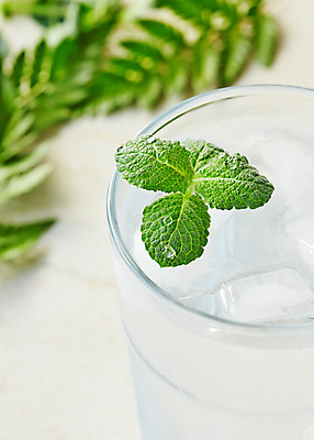 포토 JPG 스튜디오촬영 식물 백그라운드 잎 잔 실내 근접촬영 사람없음 아웃포커스 물 얼음 풀 약초 민트 허브 국내포토 자연요소 식기 뷰포인트 촬영기법 내부 풀_식물 파일형식