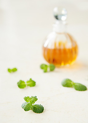 포토 JPG 스튜디오촬영 식물 백그라운드 잎 유리병 실내 사람없음 아웃포커스 풀 약초 오일 민트 허브 국내포토 음식 병_용기 촬영기법 내부 화장품 풀_식물 파일형식