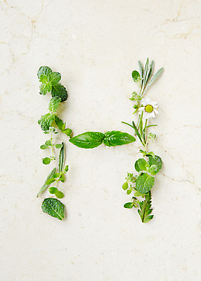 포토 JPG 스튜디오촬영 식물 알파벳 영어 백그라운드 잎 실내 종류 사람없음 표현 풀 약초 허브 국내포토 문자 내부 풀_식물 파일형식