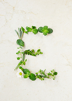 포토 JPG 스튜디오촬영 식물 알파벳 영어 백그라운드 잎 실내 종류 사람없음 표현 풀 약초 허브 국내포토 문자 내부 풀_식물 파일형식