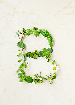 포토 JPG 스튜디오촬영 식물 알파벳 영어 백그라운드 잎 실내 종류 사람없음 표현 풀 약초 허브 국내포토 문자 내부 풀_식물 파일형식