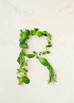 포토 JPG 스튜디오촬영 식물 알파벳 영어 백그라운드 잎 실내 종류 사람없음 표현 풀 약초 허브 국내포토 문자 내부 풀_식물 파일형식