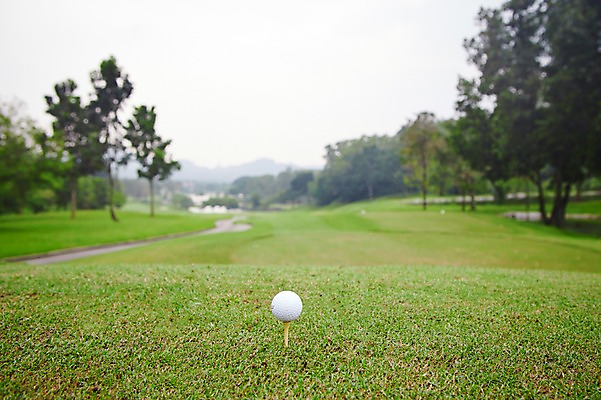 포토 JPG 주간 해외기획촬영 스포츠 2013년태국 골프 모션 골프장 필드 레저 골프공 골프용품 잔디 사람없음 야외 초록색 레포츠 티샷 국내포토 자연요소 식물 스포츠용품 컬러 공 스포츠시설 구기 파일형식