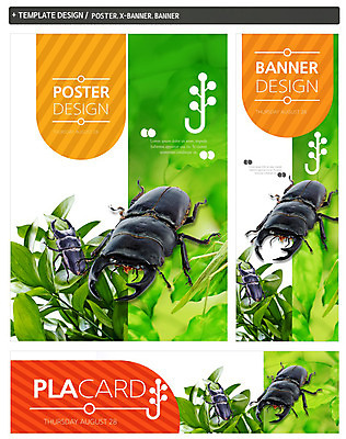 PSD 식물 동물 템플릿 배너 배너템플릿 가로배너 ZIP 포스터 세로배너 곤충 백그라운드 잎 두마리 자연 사람없음 세트 현수막 딱정벌레 사슴벌레 2 가로 세로 생태계 파일형식