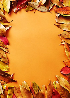 포토 JPG 배경화면 백그라운드 나뭇잎 프레임 사람없음 갈색 가을 국내포토 계절 컬러 잎 파일형식