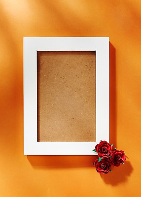 포토 JPG 꽃 종이 액자 백그라운드 프레임 사람없음 주황색 국내포토 식물 컬러 파일형식