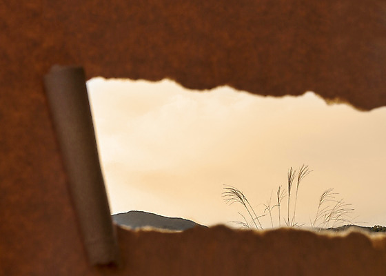 포토 JPG 주간 종이 백그라운드 프레임 갈대 사람없음 야외 아웃포커스 일몰 국내포토 자연요소 식물 촬영기법 노을 파일형식