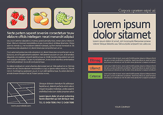 템플릿 편집 표지디자인 북디자인 표지 음식 백그라운드 북커버 오렌지 과일 딸기 키위 팜플렛 사람없음 라이프 약도 이미지템플릿 AI파일 지도 생활 파일형식 벡터