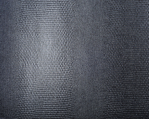 포토 JPG 해외이미지 동물 백그라운드 패턴 가방 파충류 자연 프레임 미술 사람없음 빨간색 갈색 유행 검은색 희망 핸드백 뱀 고급 가죽 피부 질감 눈금 악어 소가죽 수하물 효과 해외202004 해외포토 잡화 감정 컬러 컨셉 무늬 문화예술 신체부위 생태계 파일형식 이미지허브