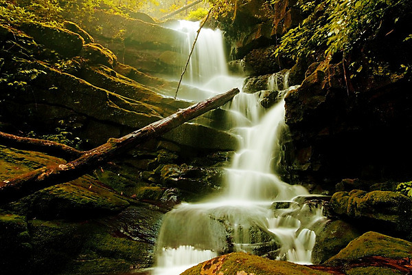 포토 JPG 해외이미지 나무 계절 공원 아시아 여행 백그라운드 잎 모션 태국 자연 산 이끼 풍경 사람없음 야외 목재 물 빛 반사 갈색 환경 봄 폭포 젖음 흐름 바위 연못 신선 개울 떨어짐 숲 파라다이스 해외202004 해외포토 자연요소 식물 공공시설 나라 컬러 컨셉 재료 강 돌_바위 생태계 파일형식 이미지허브