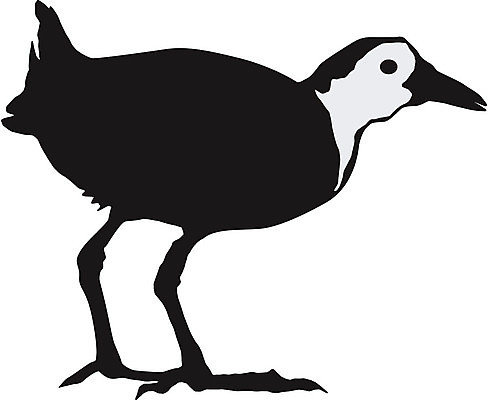 EPS 해외이미지 모양 동물 디자인 실루엣 포즈 백그라운드 날개 일러스트 조류 형상 미술 물 검은색 자유 흰색 문신 깃털 사인 그림 꼬리 암탉 스타일 해외202004 해외일러스트 자연요소 컬러 컨셉 문화예술 촬영기법 닭 암컷 파일형식 벡터 이미지허브