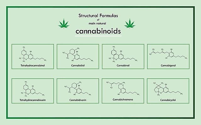 EPS 해외이미지 과학 잎 농업 일러스트 비즈니스 건강 초록색 약 인포그래픽 약재 잡초 결합 허브 유기농 원자 공식 산소 조제 내추럴 단백질 마약 불법 수소 화학물질 대마초 마리화나 해외202004 해외일러스트 식물 웰빙 산업 컬러 의학 원소 화학 범죄 만들기 영양소 파일형식 벡터 이미지허브
