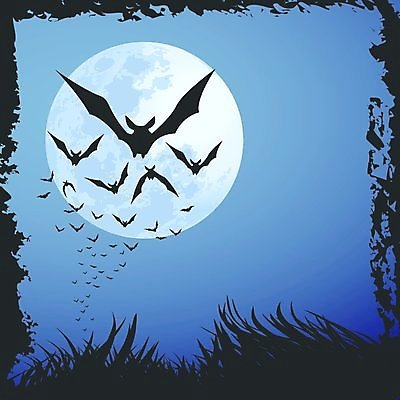 EPS 해외이미지 실루엣 백그라운드 일러스트 자연 휴가 야외 파란색 검은색 어둠 새벽 할로윈 보름달 달 축하 야간 신비 무서움 만화 달빛 가득함 박쥐 10월 흡혈귀 나쁜 그런지 호러 해외202004 해외일러스트 자연요소 감정 컬러 컨셉 포유류 촬영기법 날짜 생태계 공포 파일형식 벡터 이미지허브