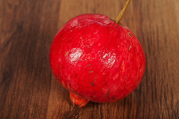 포토 JPG 해외이미지 음식 다이어트 과일 자연 씨앗 사람없음 빨간색 신선 달콤 맛 석류 내추럴 바이오 작살 해외202004 해외포토 식물 컬러 컨셉 건강 생태계 파일형식 이미지허브