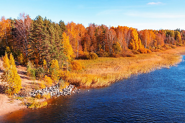 포토 JPG 해외이미지 나무 식물 여행 백그라운드 자연 갈대 풍경 사람없음 야외 옆모습 물 강 태양 흐름 가을 가장자리 숲 강가 장면 암초 해외202004 해외포토 자연요소 계절 뷰포인트 컨셉 둘레 생태계 파일형식 이미지허브