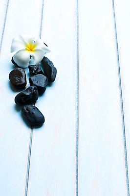 포토 JPG 해외이미지 디자인 백그라운드 패턴 자연 추상 휴가 바닥 사람없음 목재 장식 갈색 정원 검은색 스파 질감 옛날 해외202004 해외포토 나무 컬러 무늬 재료 생태계 파일형식 이미지허브