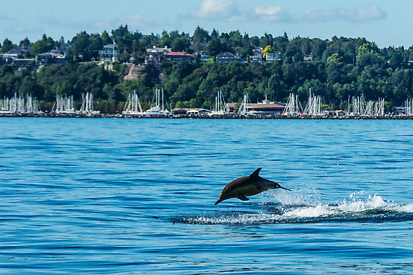 포토 JPG 해외이미지 구름 바다 하늘 사람없음 야외 물 보트 함선 시애틀 워싱턴 해외202004 해외포토 자연요소 배_교통 미국 파일형식 이미지허브