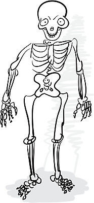 EPS 해외이미지 1 백그라운드 신체 일러스트 해부 추상 뼈 잉크 골격 흑백 사람 숫자 검은색 어둠 할로윈 회색 수확 흰색 죽음 거친 위험 무서움 스케치 심볼 그림 심플 나쁜 몬스터 해골모형 호러 해외202004 해외일러스트 문자 감정 컬러 컨셉 무늬 농업 의학 촬영기법 미술 모형 공포 파일형식 벡터 이미지허브