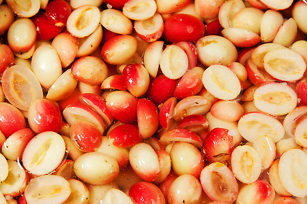 포토 JPG 해외이미지 나무 아시아 음식 농업 채소 과일 태국 자연 사람없음 빨간색 나뭇가지 허브 유기농 피클 발효 위생관리 채식주의자 홈메이드 해외202004 해외포토 식물 웰빙 나라 산업 컬러 관리 생태계 채식 만들기 절임 파일형식 이미지허브