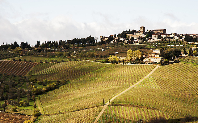 포토 JPG 해외이미지 나무 유럽 여행 밭 자연 포도 주택 풍경 사람없음 야외 초록색 농장 농경지 와인 이탈리아 시골 빌라 언덕 시력 포도밭 포도나무 밭일 양조장 토스카나 해외202004 해외포토 식물 나라 컬러 농업 과일 주류 건물 과일나무 생태계 파일형식 이미지허브