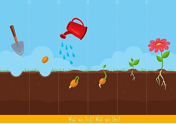 EPS 해외이미지 어린이교육 교육 꽃 일러스트 미술 씨앗 사람없음 정원 물뿌리개 성장 퍼즐 그림 유아교육 학습지 해외202004 해외일러스트 식물 문화예술 교재 파일형식 벡터 이미지허브