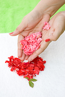 포토 JPG 해외이미지 손 꽃잎 꽃 분홍색 컨셉 휴식 관리 손바닥 사람없음 치료 장미 스파 흰색 신선 아로마 아로마테라피 해외202004 해외포토 식물 컬러 의학 신체부위 테라피 파일형식 이미지허브