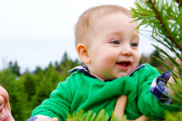 포토 JPG 해외이미지 나무 아들 어린이 크리스마스 2 가족 엄마 휴가 사람 소년 야외 두명 초록색 농장 아기 걸음마 해외202004 해외포토 식물 기념일 남자 컬러 농업 관계 모션 파일형식 이미지허브