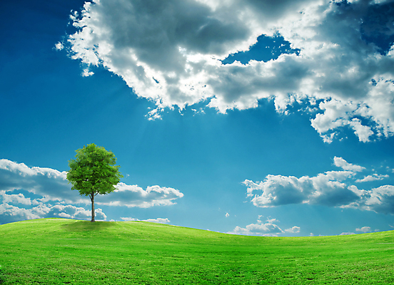 포토 JPG 해외이미지 나무 구름 백그라운드 밭 자연 벽지 하늘 풍경 사람없음 야외 초록색 여름 파란색 환경 봄 시골 신선 고독 지역 평야 수평선 해외202004 해외포토 자연요소 식물 계절 감정 컬러 농업 생태계 파일형식 이미지허브