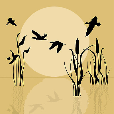 EPS 해외이미지 디자인 실루엣 파도 백그라운드 일러스트 벽지 조류 추상 오리 미술 그래픽 장식 물 강 반사 연못 우아함 만화 스케치 심볼 사인 그림 문서 윤곽 거위 우표 왜곡 해외202004 해외일러스트 자연요소 동물 바다 컨셉 무늬 문화예술 촬영기법 파일형식 벡터 이미지허브