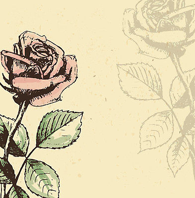 EPS 해외이미지 손 배너 꽃 종이 분홍색 결혼 백그라운드 꽃무늬 일러스트 자연 휴가 수채화 프레임 사랑 미술 그래픽 장식 컬러풀 장미 정원 골동품 신용카드 생일 우아함 스케치 심볼 그림 복고 엽서 초대 판화 내추럴 그런지 빅토리아 엘리먼트 옛날 스타일 해외202004 해외일러스트 식물 기념일 감정 컬러 컨셉 무늬 문화예술 이벤트 신체부위 금융 편지 생태계 파일형식 벡터 이미지허브