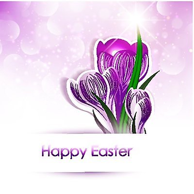 EPS 해외이미지 식물 계절 꽃잎 꽃 별 꽃다발 꽃무늬 일러스트 자연 부활절 보라색 봄 벚꽃 제비꽃 내추럴 카피스페이스 해외202004 해외일러스트 자연요소 기념일 컬러 무늬 공백 생태계 파일형식 벡터 이미지허브