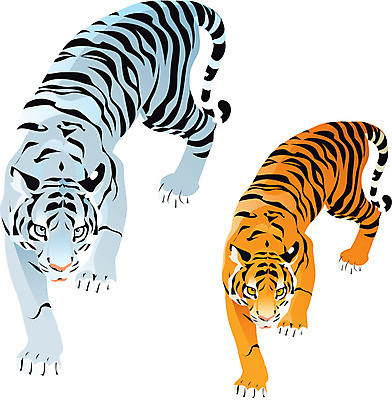 EPS 해외이미지 동물 야생동물 조각 오렌지 일러스트 털 기술 미술 동양인 힘 코트 흰색 점 호랑이 우아함 무서움 인도인 문신 피부 꼬리 고립 현실 해외202004 해외일러스트 외국인 감정 컬러 컨셉 과일 포유류 문화예술 인종 신체부위 외투 파일형식 벡터 이미지허브