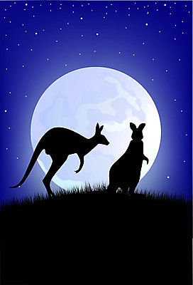 EPS 해외이미지 식물 동물 실루엣 별 야생동물 여행 백그라운드 일러스트 포유류 자연 하늘 휴가 풍경 야외 여름 평화 환경 검은색 어둠 황혼 사막 달 황무지 호주 야간 저녁 땅 아래 달빛 심볼 그림 영토 캥거루 오지 해외202004 해외일러스트 자연요소 계절 컬러 컨셉 촬영기법 일몰 오세아니아 방향 생태계 위치 파일형식 벡터 이미지허브