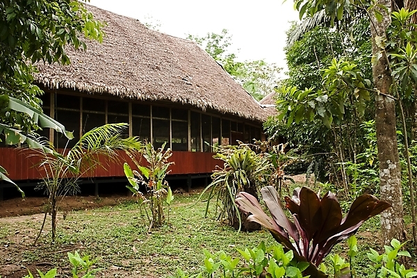 포토 JPG 해외이미지 나무 공원 호수 여행 무지개 자연 휴가 주택 풍경 사람없음 목재 물 강 반사 평화 미국 침묵 고요 일몰 조약돌 황무지 고독 숲 오두막 열대우림 헛간 남쪽 아마존 오지 전국 판잣집 페루 해외202004 해외포토 자연요소 식물 공공시설 감정 컨셉 북아메리카 재료 건물 노을 소리 돌_바위 남아메리카 방향 생태계 저장고 파일형식 이미지허브