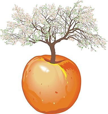 EPS 해외이미지 나무 식물 일러스트 자연 그래픽 환경 정원 봄 벚꽃 사과 과수원 그림 해외202004 해외일러스트 계절 꽃 농업 과일 생태계 파일형식 벡터 이미지허브