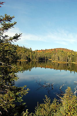 포토 JPG 해외이미지 나무 식물 계절 호수 단풍 잎 오렌지 자연 사람없음 목재 빨간색 물 컬러풀 반사 노란색 활발 거울 가을 숲 해외202004 해외포토 자연요소 컬러 컨셉 과일 재료 생태계 파일형식 이미지허브