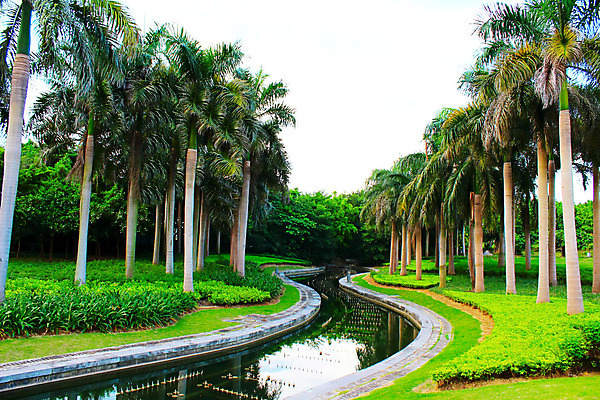 포토 JPG 해외이미지 식물 화초 백그라운드 잎 꽃무늬 패턴 농업 자연 손바닥 사람없음 장식 초록색 골동품 성장 나뭇가지 신선 부채 원예 해외202004 해외포토 나무 손 꽃 산업 컬러 무늬 취미 생태계 파일형식 이미지허브
