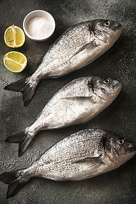 포토 JPG 해외이미지 검은배경 사람없음 레몬 날것 도미 소금 라임 해외202004 해외포토 백그라운드 과일 어류 검은색 파일형식 이미지허브