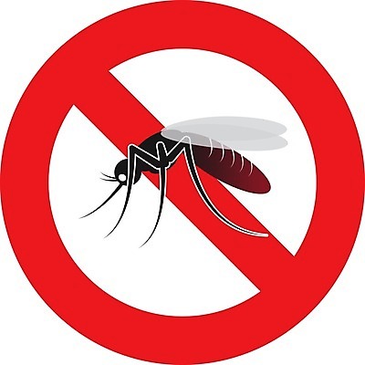 EPS 해외이미지 디자인 곤충 일러스트 경고 빨간색 펼침 흰색 바이러스 해충 벌레 질병 심볼 사인 고립 그만 모기 전염병 해외202004 해외일러스트 동물 컬러 의학 모션 파일형식 벡터 이미지허브