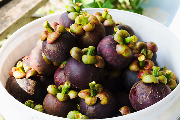 포토 JPG 해외이미지 아시아 음식 백그라운드 채소 과일 태국 건강 동양인 사람없음 빨간색 초록색 컬러풀 세일 신선 시장 달콤 맛 유기농 눈금 방콕 내추럴 이국적 해외202004 해외포토 웰빙 나라 컬러 컨셉 인종 파일형식 이미지허브