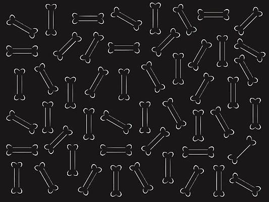 EPS 해외이미지 일러스트 자국 추상 뼈 프레임 산책 흰색 스타일 해외202004 해외일러스트 컬러 무늬 휴식 파일형식 벡터 이미지허브