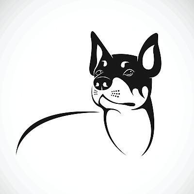 EPS 해외이미지 일러스트 사람없음 반려동물 검은색 개 강아지 치와와 해외202004 해외일러스트 동물 컬러 포유류 파일형식 벡터 이미지허브