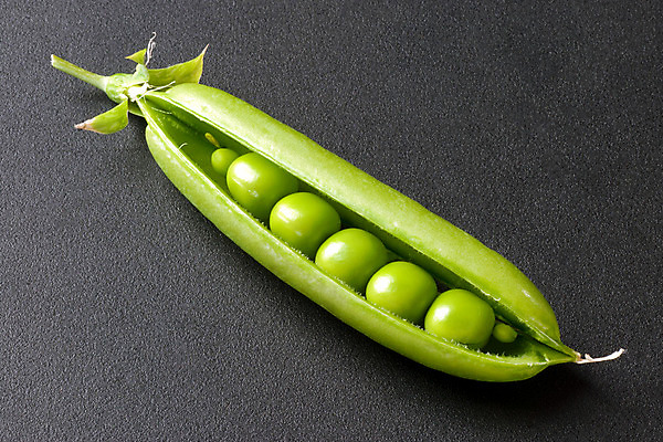 포토 JPG 해외이미지 식물 음식 백그라운드 잎 농업 다이어트 채소 과일 재료 콩 건강 씨앗 사람없음 초록색 쌓기 활발 수확 성장 흰색 신선 오픈 우아함 낟알 시리얼 먹기 오브젝트 유기농 질감 완두콩 날것 내추럴 고립 꼬투리 숙성 줄서기 채식주의자 비건 해외202004 해외포토 웰빙 산업 컬러 컨셉 모션 곡류 채식 파일형식 이미지허브