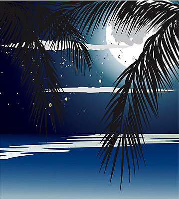 EPS 해외이미지 나무 구름 실루엣 바다 섬 여행 잎 일러스트 자연 하늘 휴가 휴식 손바닥 풍경 해변 물 여름 파란색 빛 반사 일출 디지털 황혼 일몰 봄 새벽 달 야간 큼 지중해 달빛 가득함 하와이 공상 파라다이스 수평선 해외202004 해외일러스트 자연요소 식물 손 계절 컬러 컨셉 촬영기법 노을 미국 크기 생태계 파일형식 벡터 이미지허브