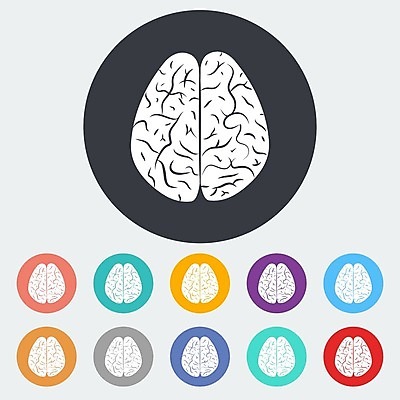 EPS 해외이미지 디자인 선 신체 일러스트 부분 해부 아이디어 건강 미술 사람 내부 약 머리 검은색 흰색 오르간 플랫 불안 심볼 명상 뇌 그림 생물학 시스템 고립 엘리먼트 정신과의사 지능 해외202004 해외일러스트 교육 감정 컬러 컨셉 의학 문화예술 신체부위 의사 건반악기 파일형식 벡터 악기 의료진 건반 직업 음악 이미지허브