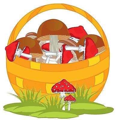EPS 해외이미지 음식 채소 일러스트 바구니 식사 버섯 소리 수확 가을 신선 수집 허브 흰배경 엮은 용량 채식주의자 해외202004 해외일러스트 식물 계절 백그라운드 농업 흰색 채식 파일형식 벡터 이미지허브