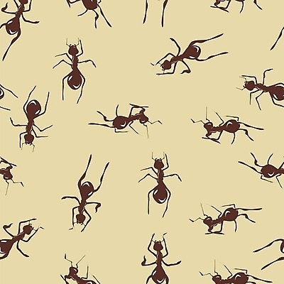 EPS 해외이미지 동물 디자인 실루엣 곤충 백그라운드 패턴 일러스트 자연 벽지 추상 흑백 안테나 미술 그래픽 장식 갈색 검은색 터치 춤 직물 그룹 해충 작음 심볼 타일 그림 질감 개미 기어가기 구성 소셜 식민지 혼란 효율 스타일 많음 해외202004 해외일러스트 컬러 컨셉 무늬 통신 모션 문화예술 촬영기법 벌레 크기 생태계 파일형식 벡터 이미지허브