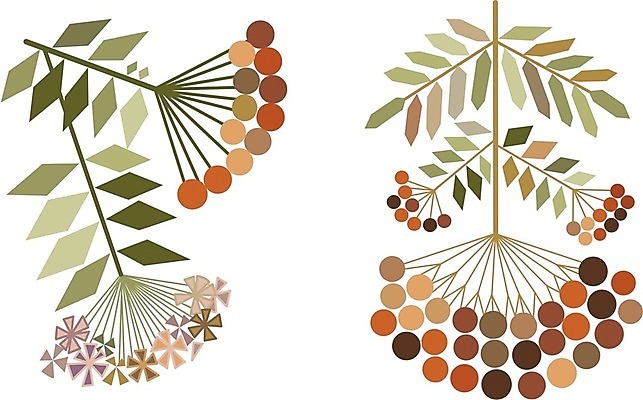 EPS 해외이미지 나무 식물 계절 열매 꽃 실루엣 야생동물 잎 꽃무늬 패턴 일러스트 자연 장식 정원 가을 흰색 나뭇가지 원형 스케치 그림 생물학 핸드메이드 해외202004 해외일러스트 도형 동물 교육 컬러 무늬 촬영기법 미술 생태계 파일형식 벡터 이미지허브