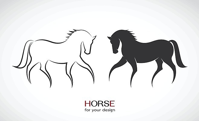 EPS 해외이미지 디자인 일러스트 추상 동물원 사람없음 검은색 말_동물 심볼 해외202004 해외일러스트 컬러 무늬 포유류 파일형식 벡터 이미지허브
