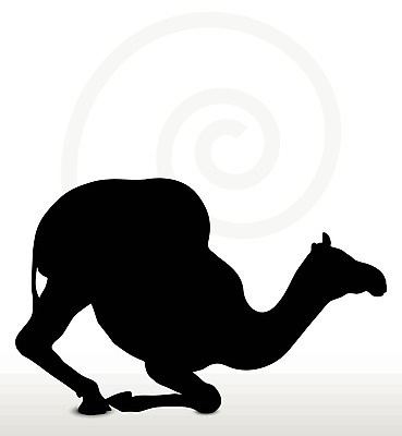EPS 해외이미지 클립아트 모양 동물 디자인 실루엣 야생동물 포즈 일러스트 자연 그림자 사람없음 그래픽 걷기 검은색 사막 무릎꿇기 스케치 자르기 사파리 흰배경 윤곽 낙타 사하라 고립 엘리먼트 해외202004 해외일러스트 컬러 백그라운드 포유류 모션 아프리카 촬영기법 미술 흰색 생태계 파일형식 벡터 이미지허브